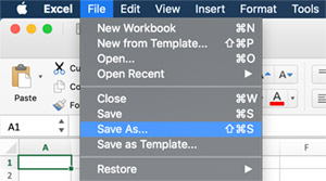 Excel Save As Worksheet