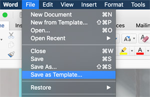 Save as Word Template